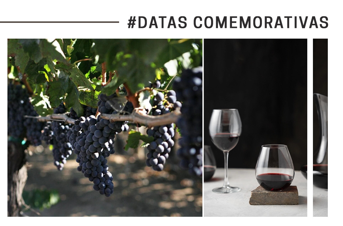 Transforme o seu Pinot Noir numa lenda em cada garrafa, através de histórias autênticas, branding cativante e uma presença que os consumidores nunca esquecerão.